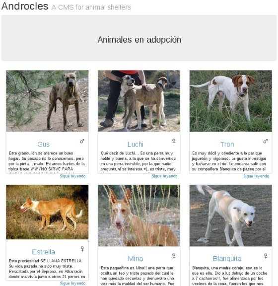 Catálogo de animales en adopción